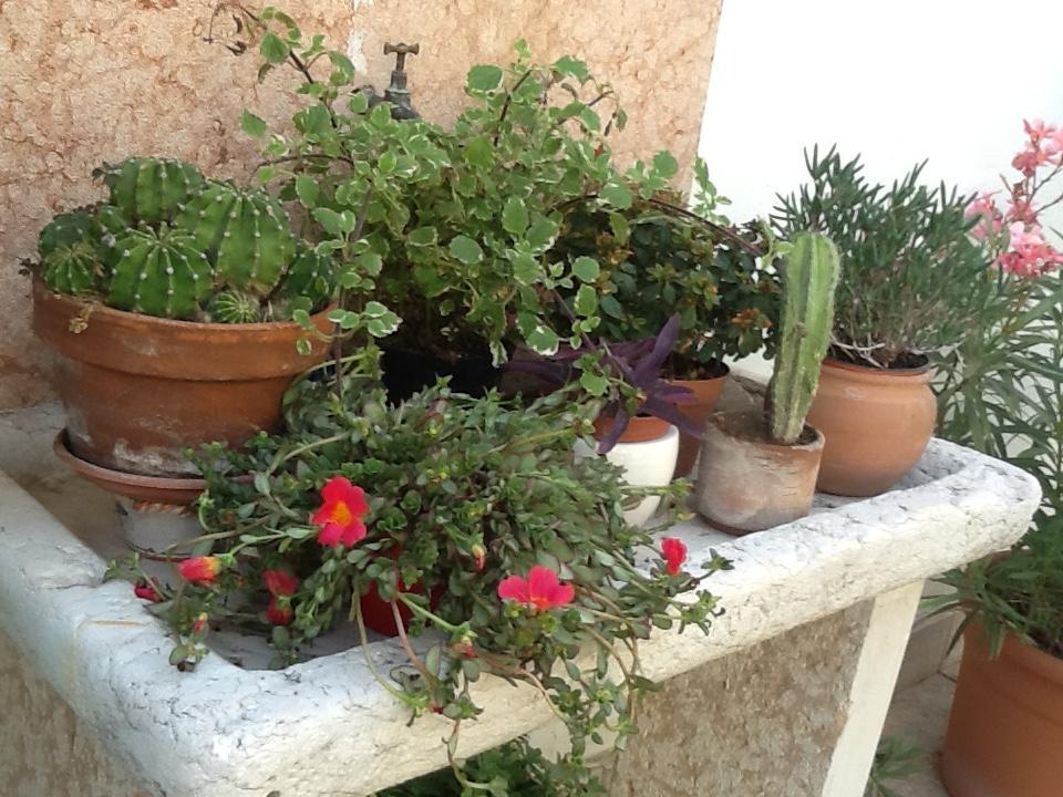 B&B Al Giardinetto Verona Exterior photo